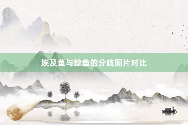 埃及鱼与鲶鱼的分歧图片对比